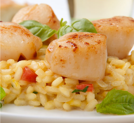 Cooked scallops over a bed of spanish style rice