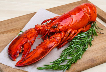 Whole lobster on a cutting board