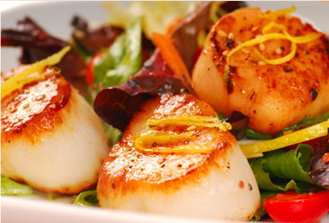 gilled scallops over bed of lettuce greens