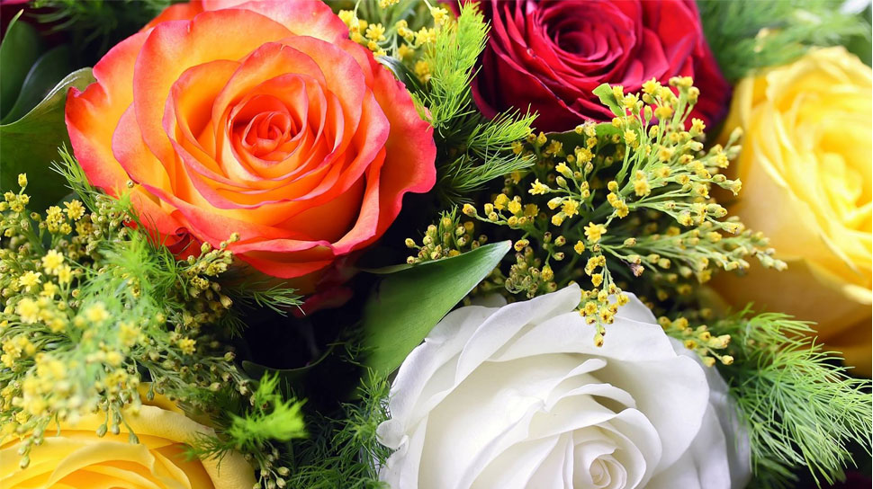 Colorful Bouquet of Roses at Dave's Fresh Marketplace