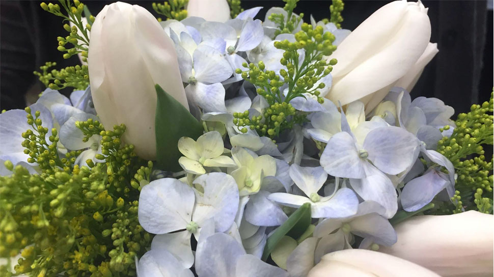 Hydrangea Tulip floral arrangements at Dave's Fresh Marketplace