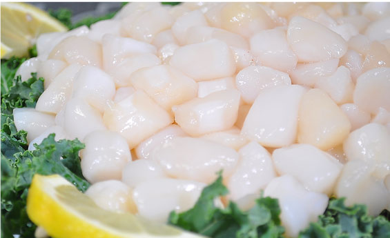 Raw scallops in the seafood case at Dave's Fresh Marketplace