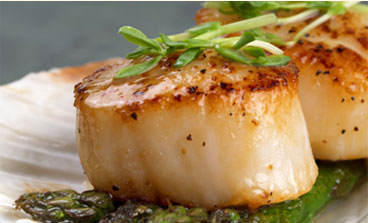 Grilled scallops over asparagus
