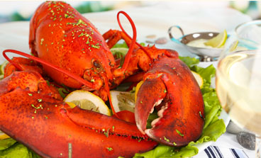 Whole steamed lobster on a serving tray