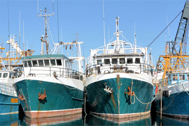 The fishing fleet in Galilee, RI