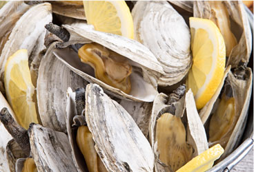 Fresh clams in a serving bucket with lemons